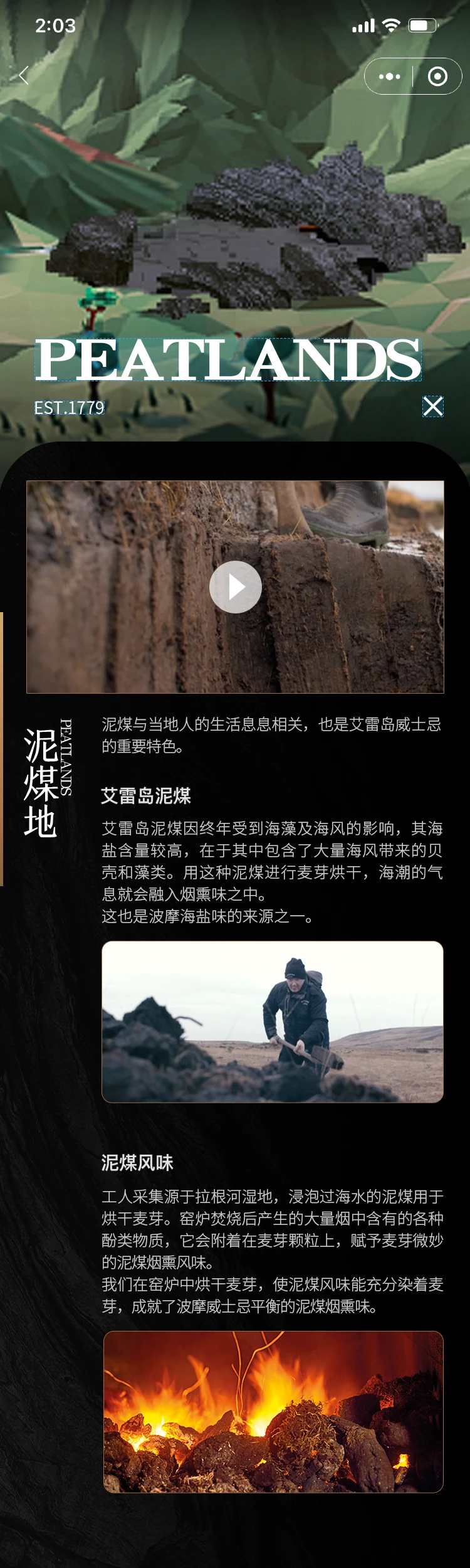 泥煤地