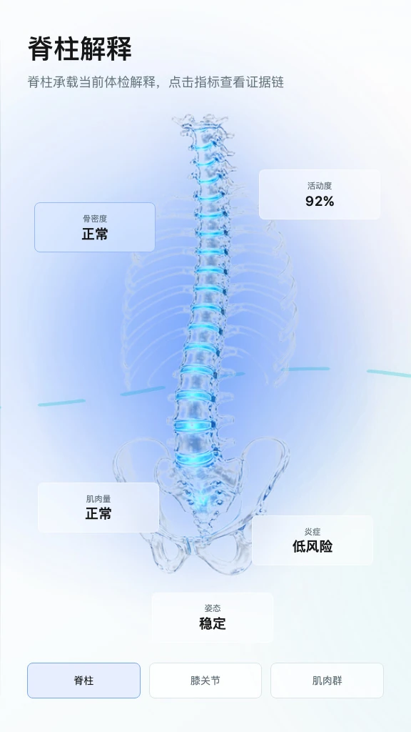 医学数字人第三屏器官解释